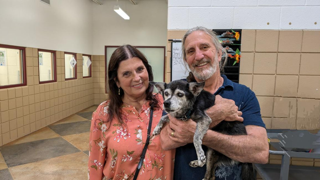 Adopting a Senior Dog: A Compassionate Choice for Pet Lovers