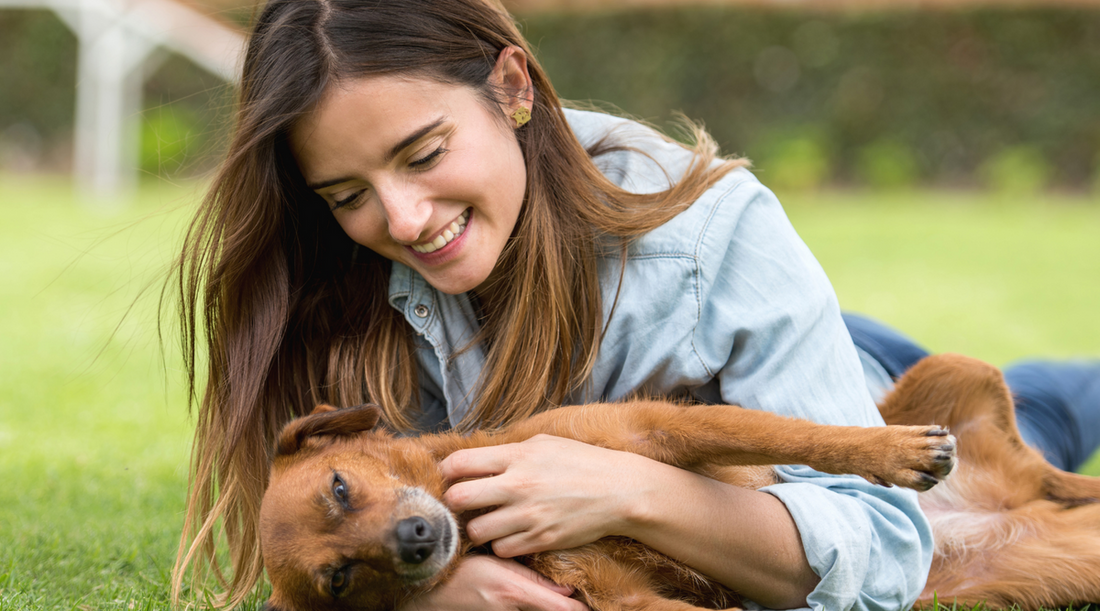 Understanding Rescue Dog Fear: A Guide for Pet Owners