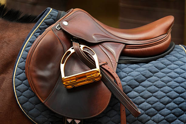 How to Tack Up a Horse Western for Beginners: A Simple Guide