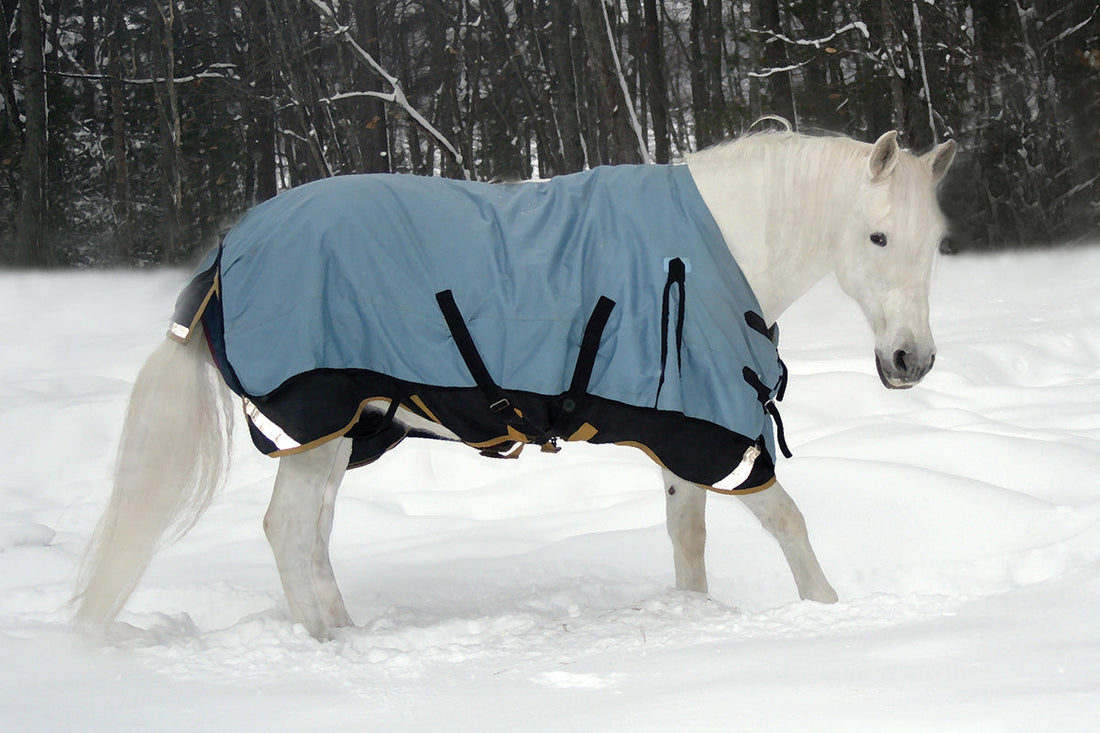 How to Crochet a Horse Blanket: Techniques for Health-Conscious Owners?