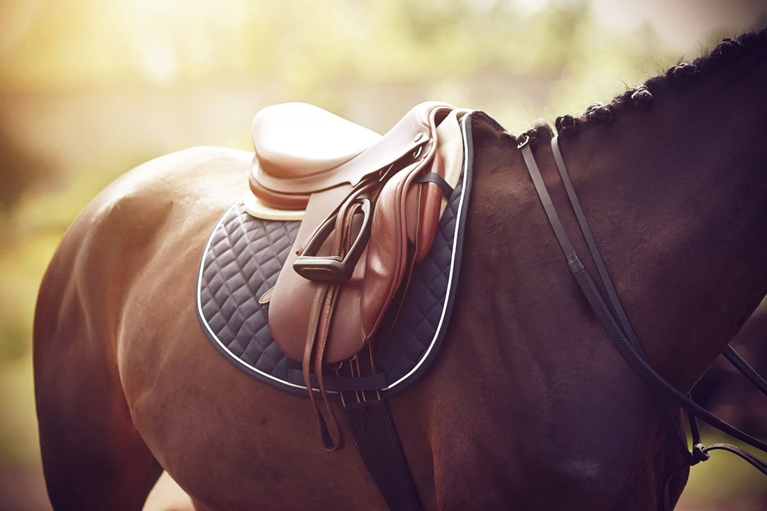 Exclusive Guide: How to Measure a Saddle Gullet Easily?