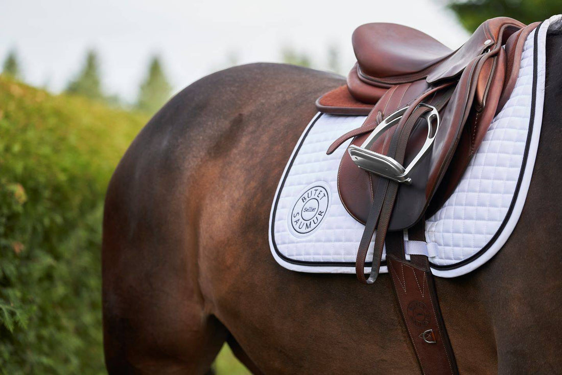 What Color Tack for a Chestnut Horse: Choosing Perfect Match?