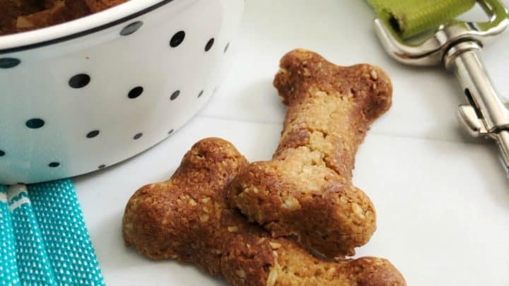 What Are the Benefits of Feeding Your Dog Freeze-Dried or Dehydrated Treats?