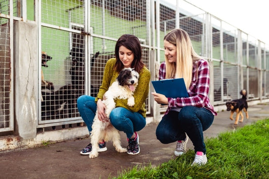 Part-time Care Options for Adopted Dogs: A Guide for Health-conscious Pet Owners