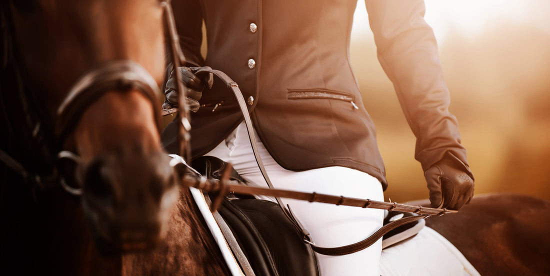 How to treat a swollen fetlock on a horse? Exclusive and Life-Changing Techniques