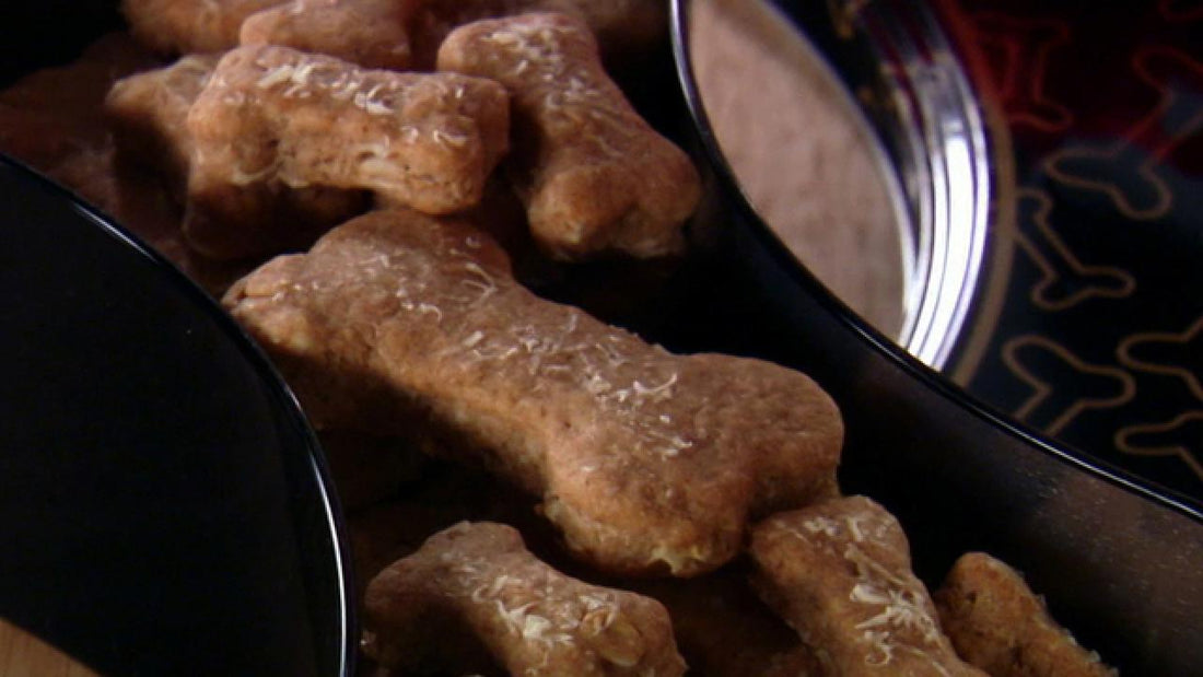 How Many Calories Are in Dog Treats? A Guide for Health-Conscious Pet Owners