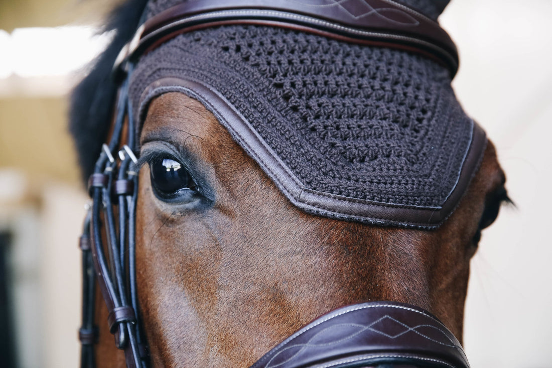 What Are Horse Ear Bonnets for? Understand Their Purpose