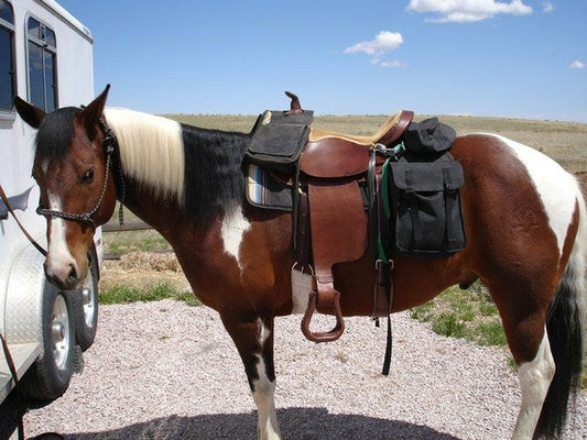 What to Pack in Your Horse Saddle Bag for Trail Riding?