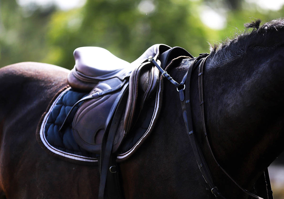 How do you tack up a horse properly for the best ride?