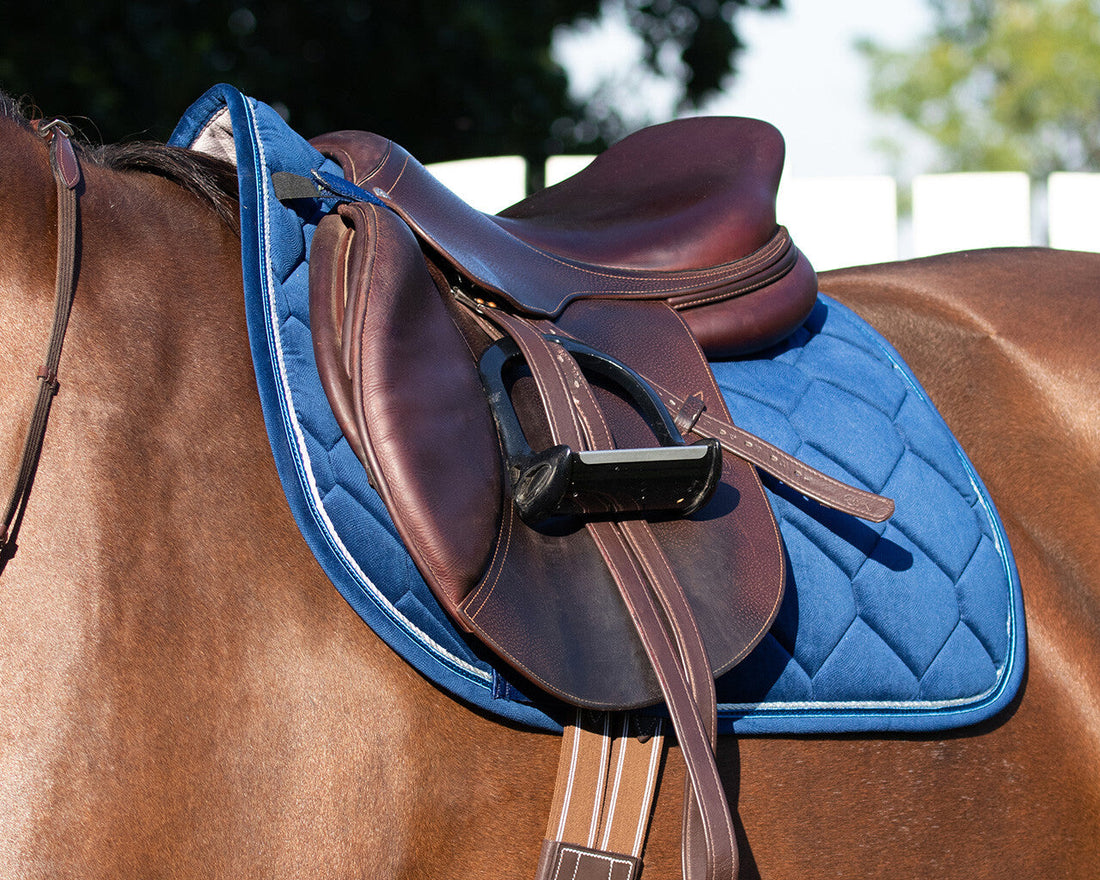 Which Horse Breeds Are Best for Jumping Gracefully and Powerfully?