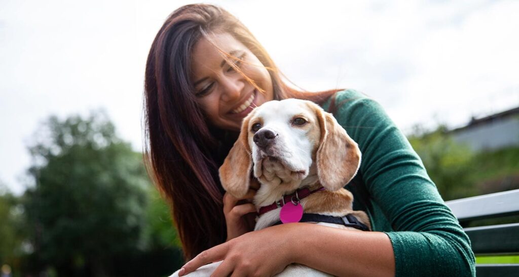 Dog Adoption from a Distance: A New Way to Connect
