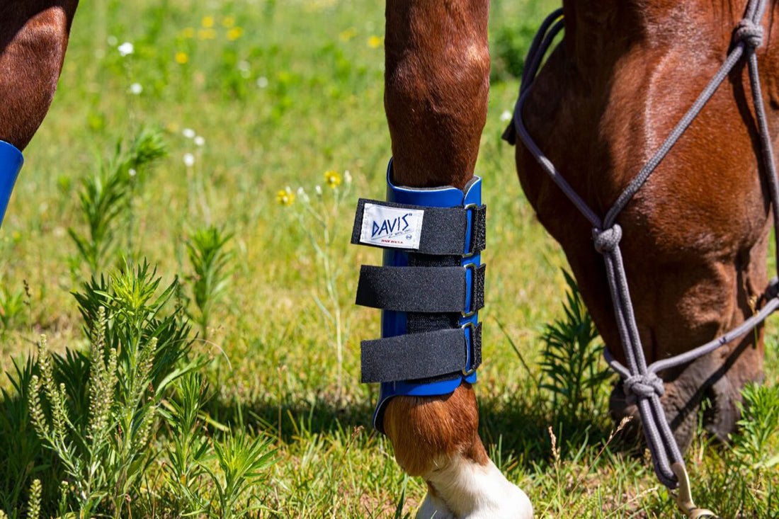 Best Horse Boots for Protection and Comfort