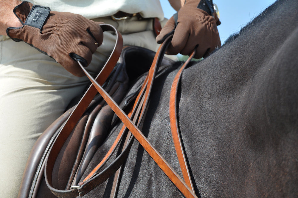 Shocking Trick: How to Put Reins on a Horse Like a Pro?