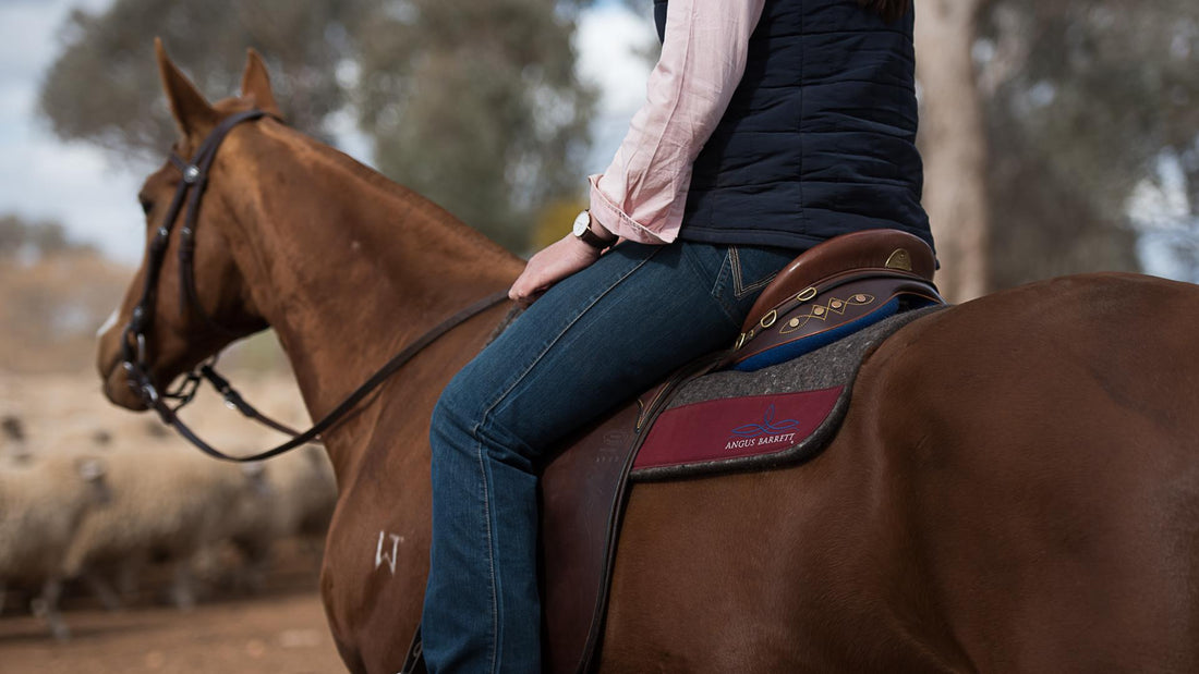 Why Do We Use Saddle Pads for Our Horses' Well-Being?