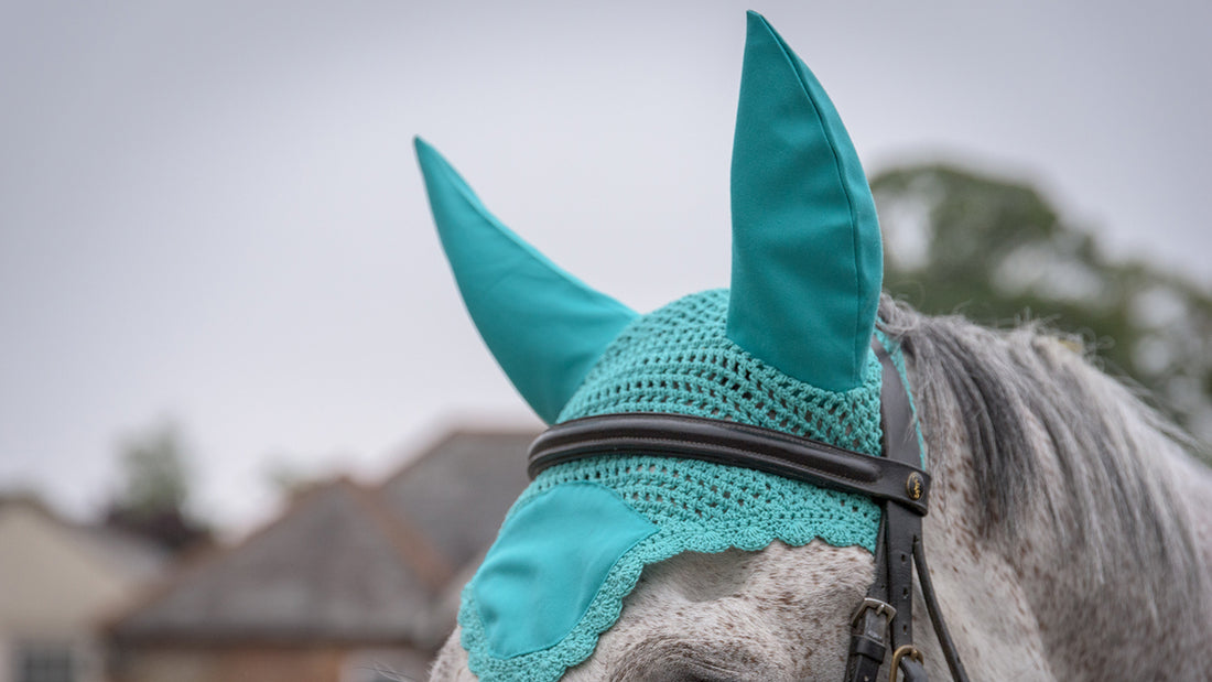 Why Do Horses Wear Ear Bonnets? Fascinating Insights Explained