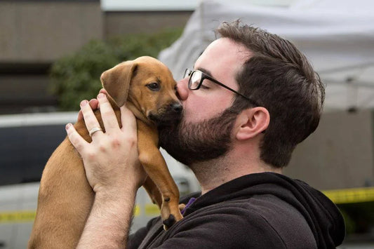 Dog Adoption for Seniors: Health Benefits and Tips