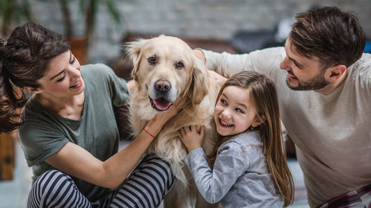 Dog Adoption Process: A Guide for Health-Conscious Owners