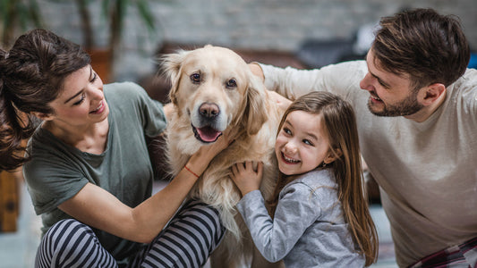 How to Adopt a Rescue Puppy: Steps for a Healthy Start