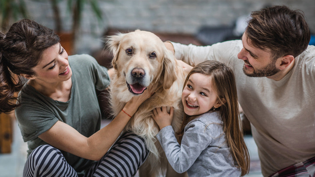 Dog Adoption Process: A Guide for Health-Conscious Owners