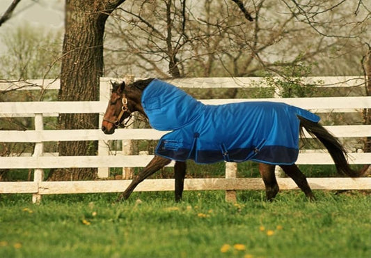 Remarkable Strategies on How to Fold a Horse Blanket?