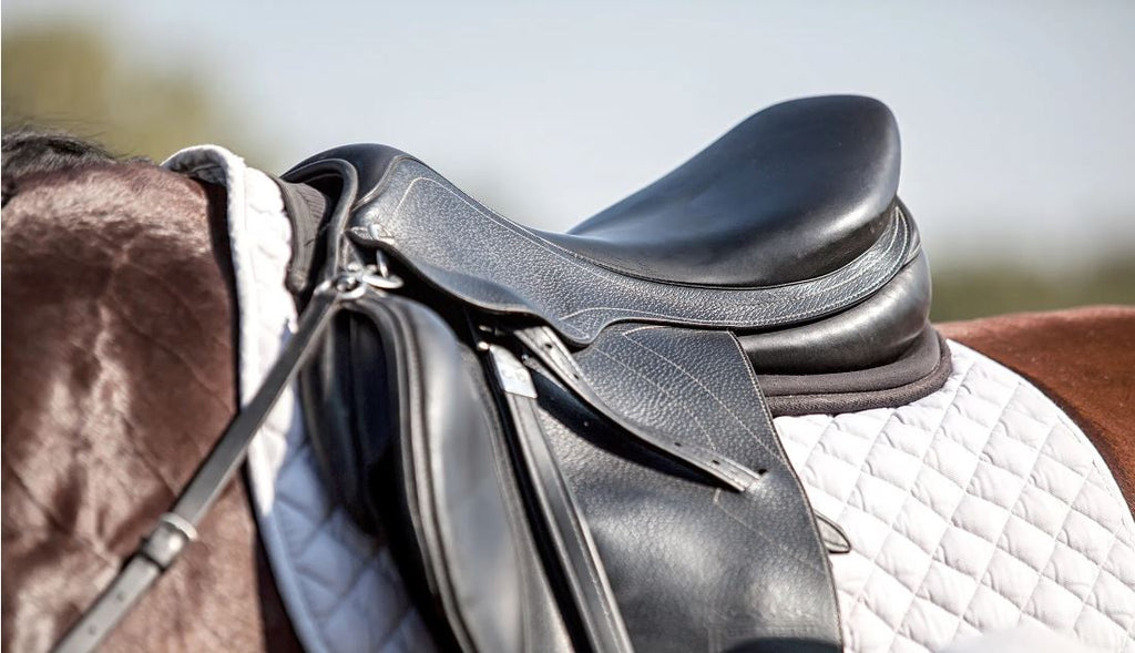 How to Update Horse Tack: Tips for Health-Conscious Owners?