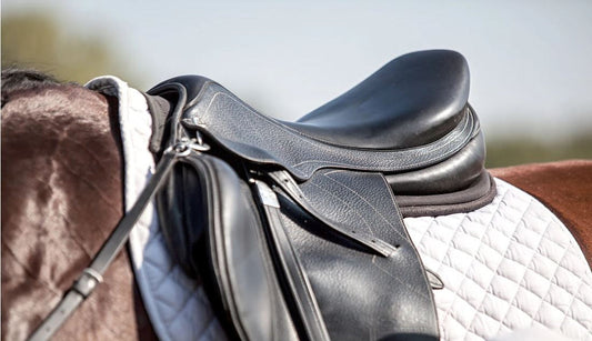 What Kind of Horse Tack and Saddlery Styles Are There? Terrific Insights Here