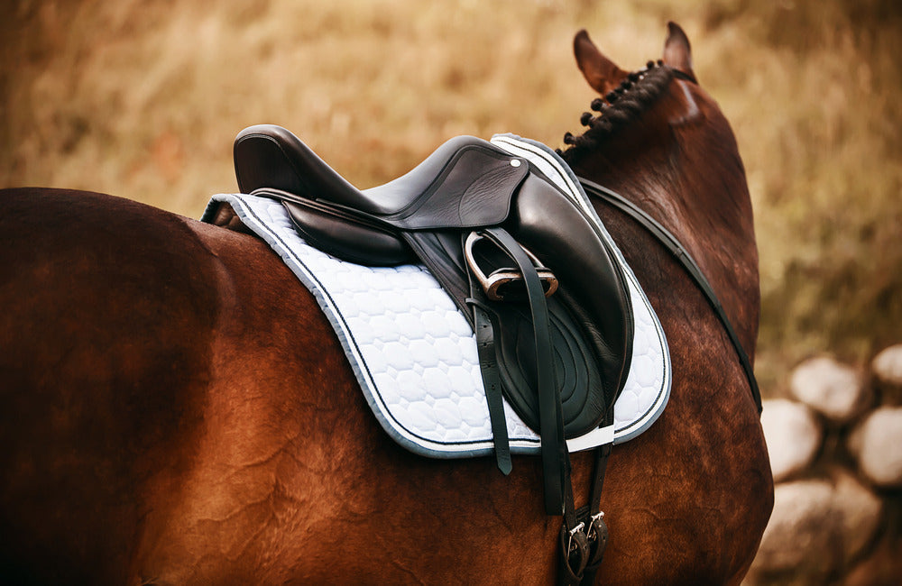What Side Do You Tack Up a Horse On: A Detailed Guide?