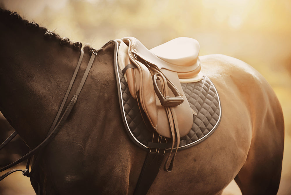 What is a Monoflap Dressage Saddle: Key Features Explained