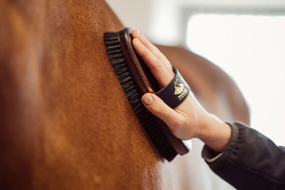 How to Clean a Horse Hair Brush for Optimal Grooming?