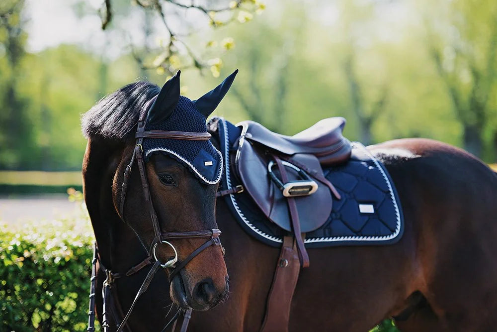What is a Tack Room in a Horse Barn? Essential Insights