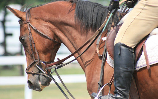 How to Hold Horse Reins with One Hand: A Quick Guide