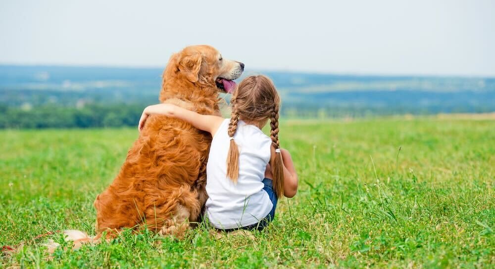 Dog Barking at Visitors: How to Handle This Challenge