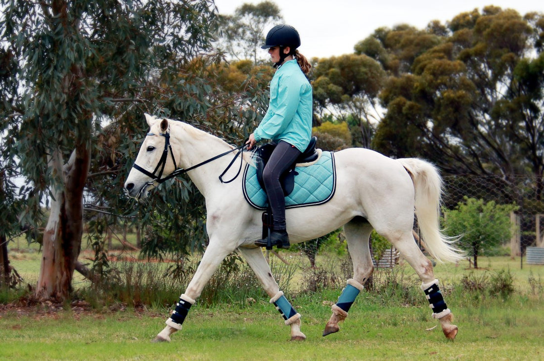 What Size Dressage Saddle Do I Need? Here's the Shocking Truth