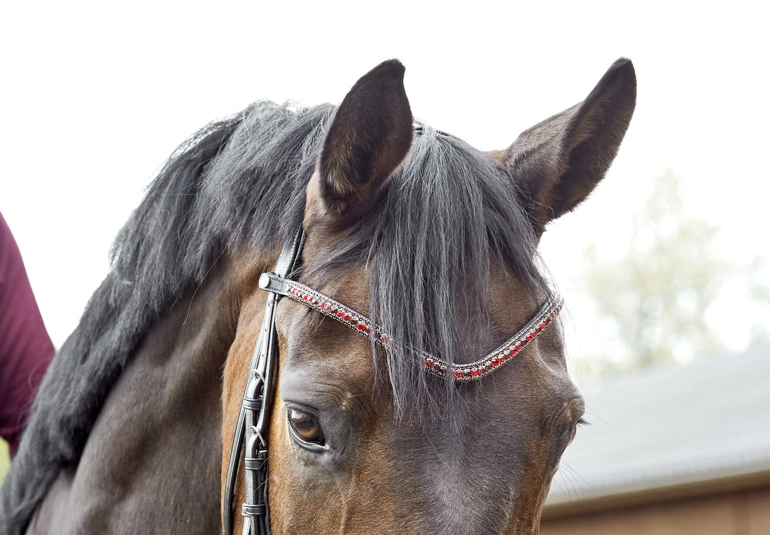 Terrific Diy Horse Browband: Unmissable Tips Here for You?