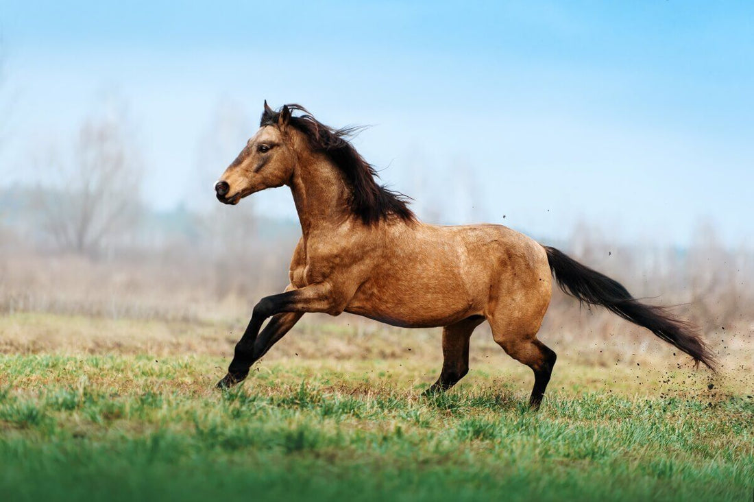 How Long Does It Take for a Horse to Give Birth Safely?