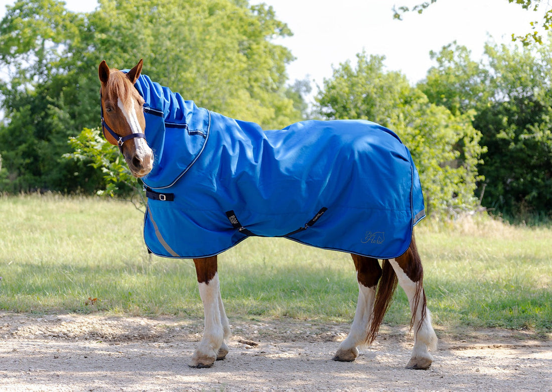 How to Clean a Horse Blanket for Optimal Care and Hygiene?