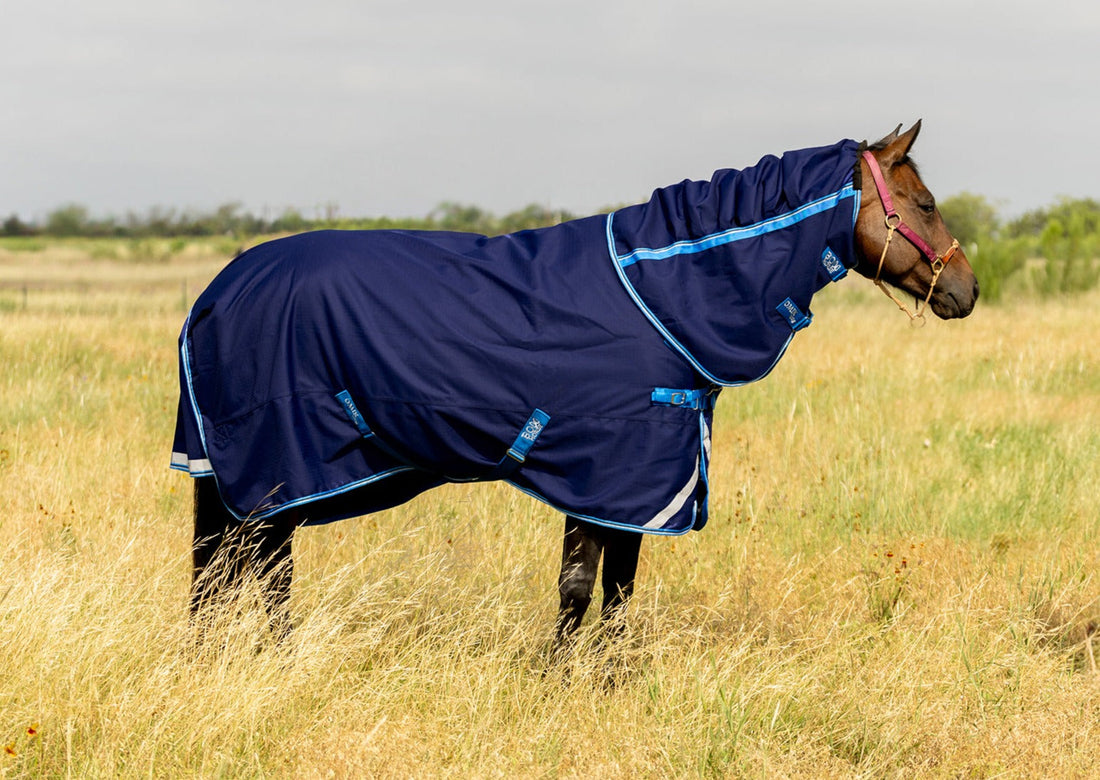 How to Measure a Horse Blanket Without a Tag: Step-by-Step Guide?