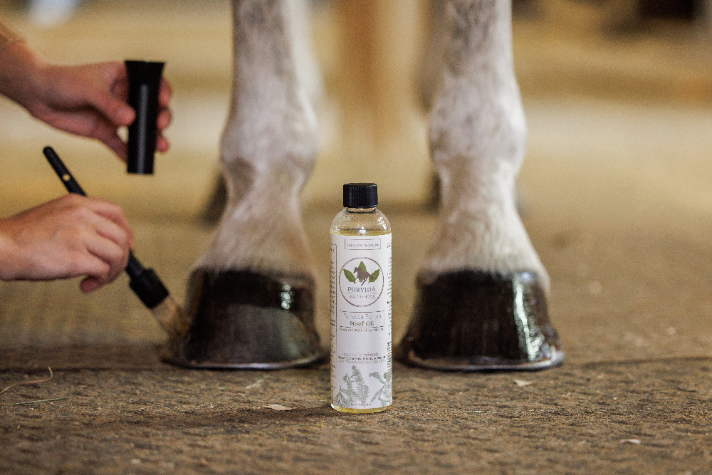 How to Apply Hoof Oil for Healthier Hooves: A Must-Know Guide?