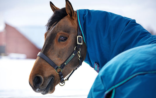 How to Wash a Horse Blanket: Tips for Health-Conscious Owners?