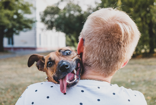 Understanding Shelter Dog Behavior for Health-Conscious Owners