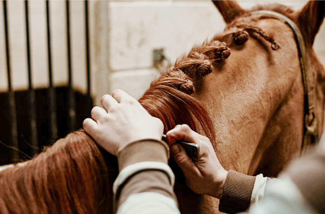 How to Cut Horse Mane: A Terrific Guide for 2023