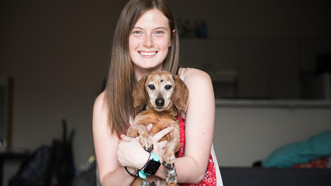 Dog Adoption for Mental Health: A Path to Well-being