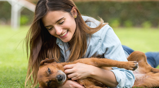 How to Handle Dog Separation Anxiety: Tips for Pet Owners