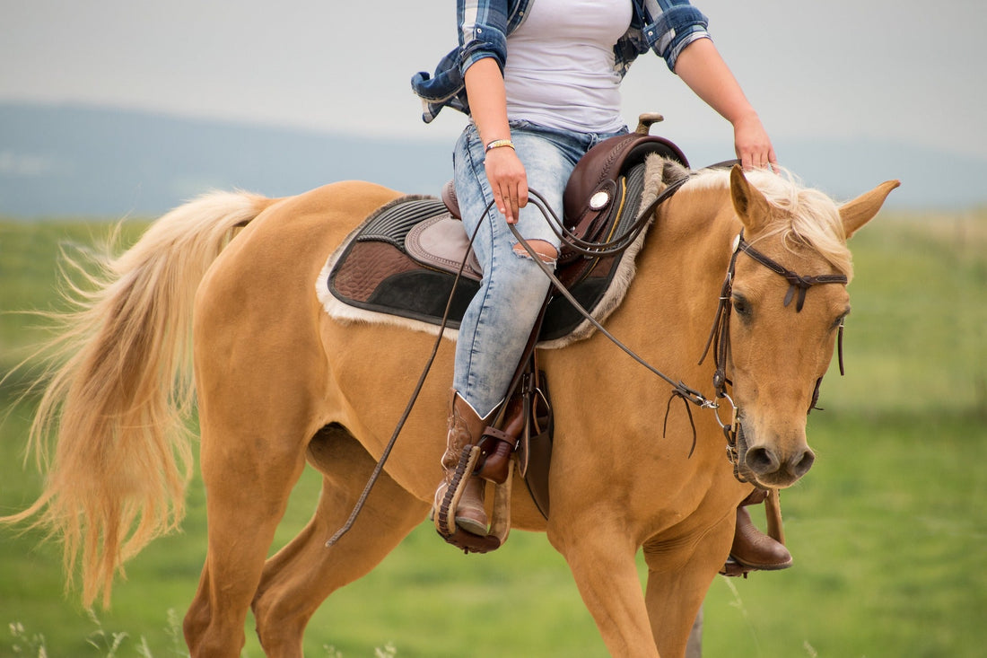 What Are Half Saddle Pads Used For in Horse Riding?