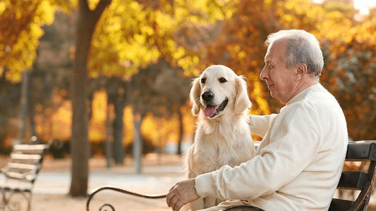 Dog Adoption Red Flags: Essential Insights for Health-Conscious Pet Owners