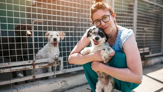 Adopting a Dog From a Kill Shelter: Rescuing a Life