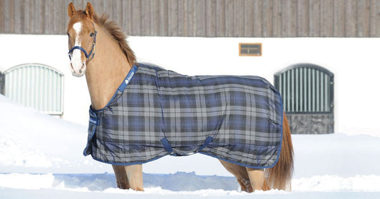 How to Measure a Horse for a Winter Blanket Properly?