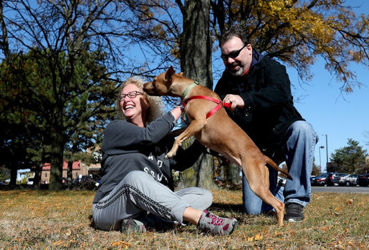 Adopting a Rescue Dog and Transforming Your Life
