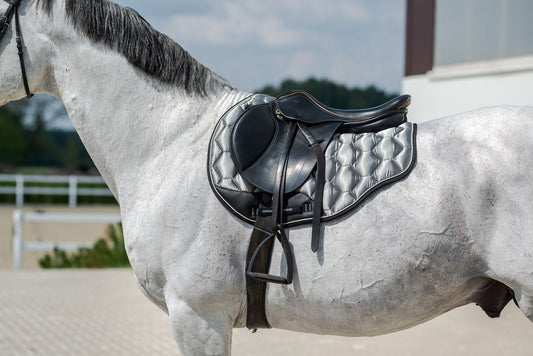 How Much are Saddle Pads for Your Equine Partners Comfort?