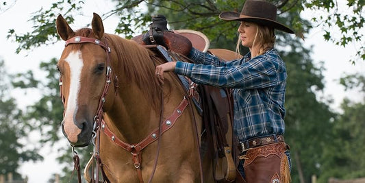 What Are the 3 Largest Horse Breeds You Should Know?